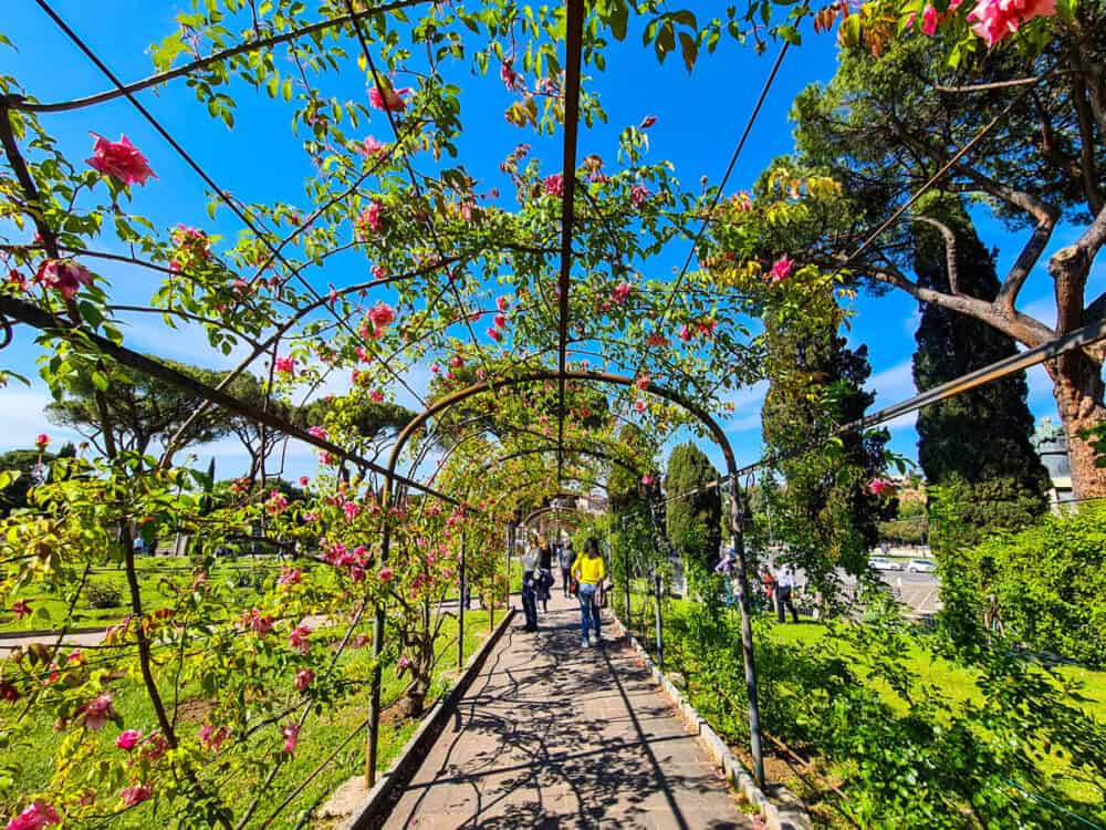 Rome's rose garden