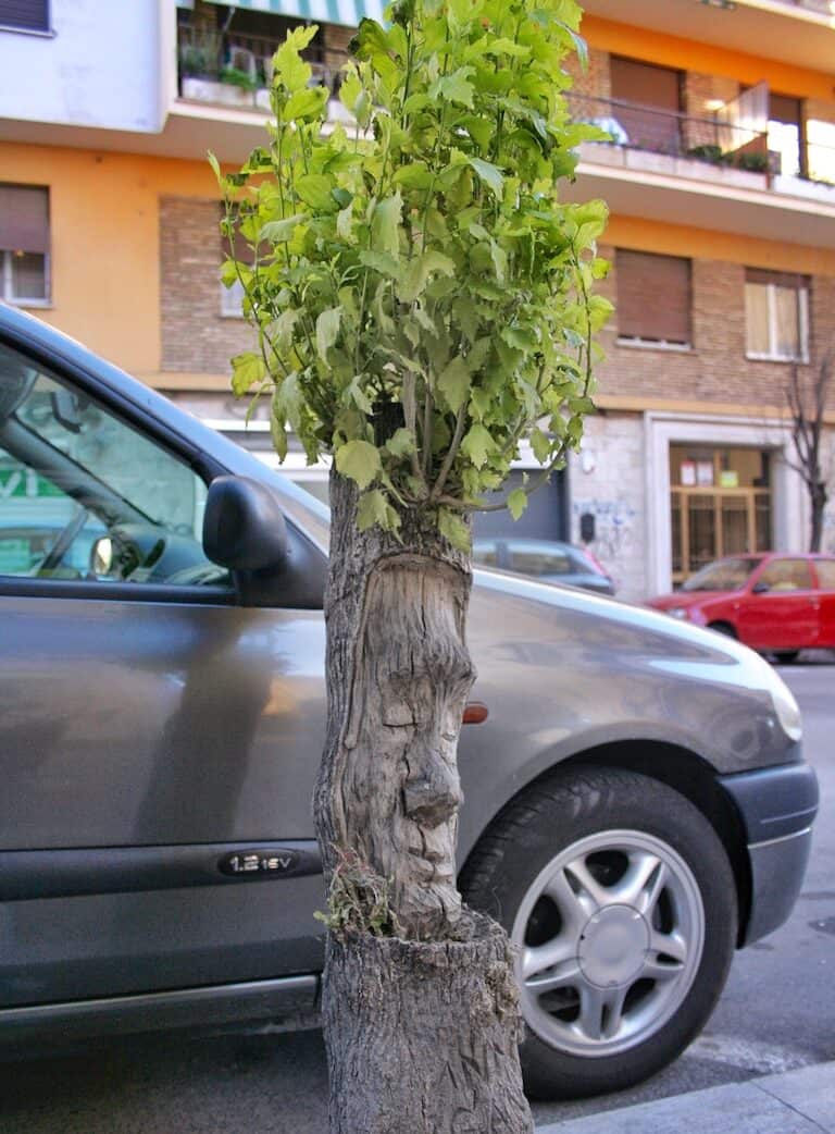 Andrea Gandini: the street artist that turns tree trunks into art