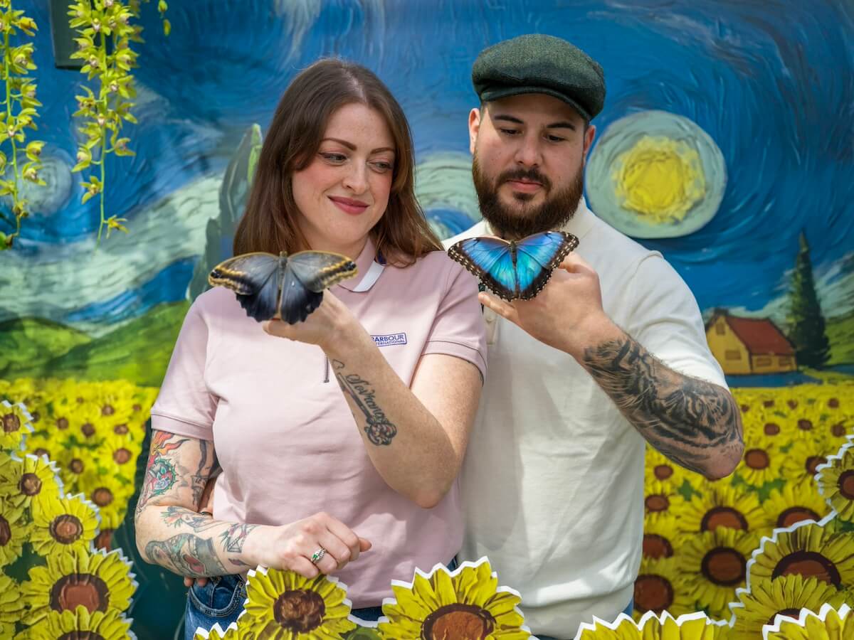 La Casa delle Farfalle: A Butterfly House in Rome