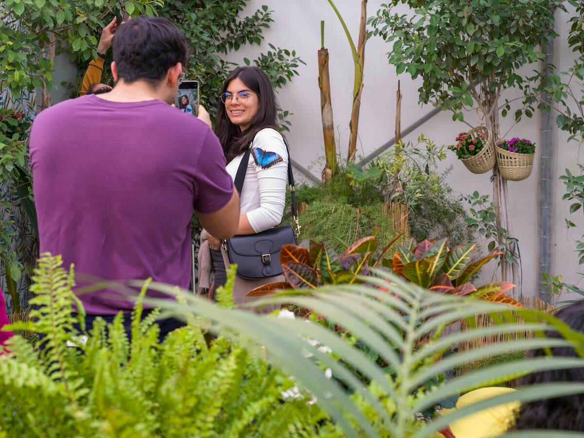 La Casa delle Farfalle: A Butterfly House in Rome