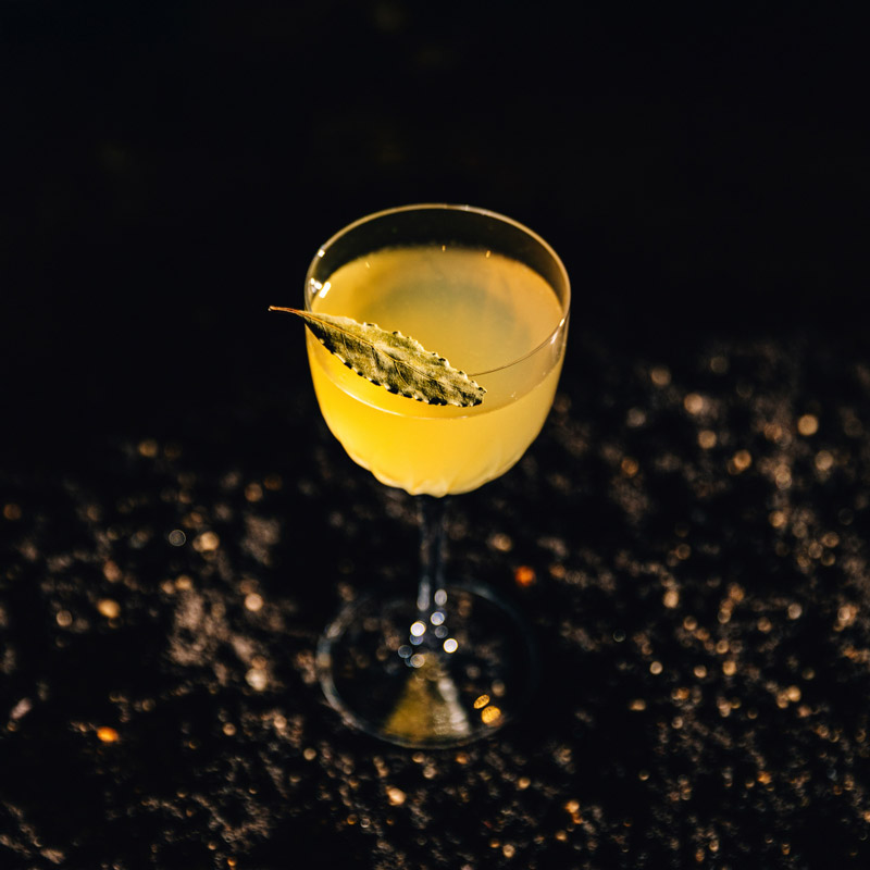 cvlto-trastevere-cocktails