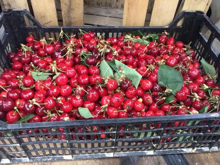 Garbatella Neighbourhood Rome