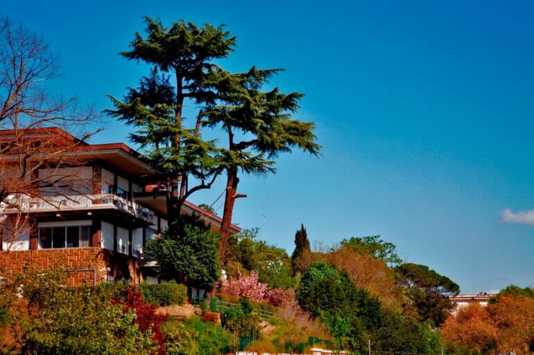 japan institute of rome