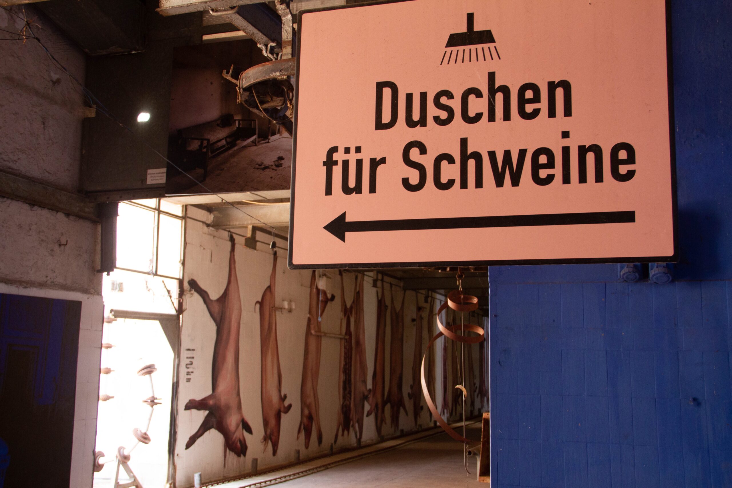 MAAM: Museo dell'Altro e dell'Altrove, Metropoliz - Mestizio City