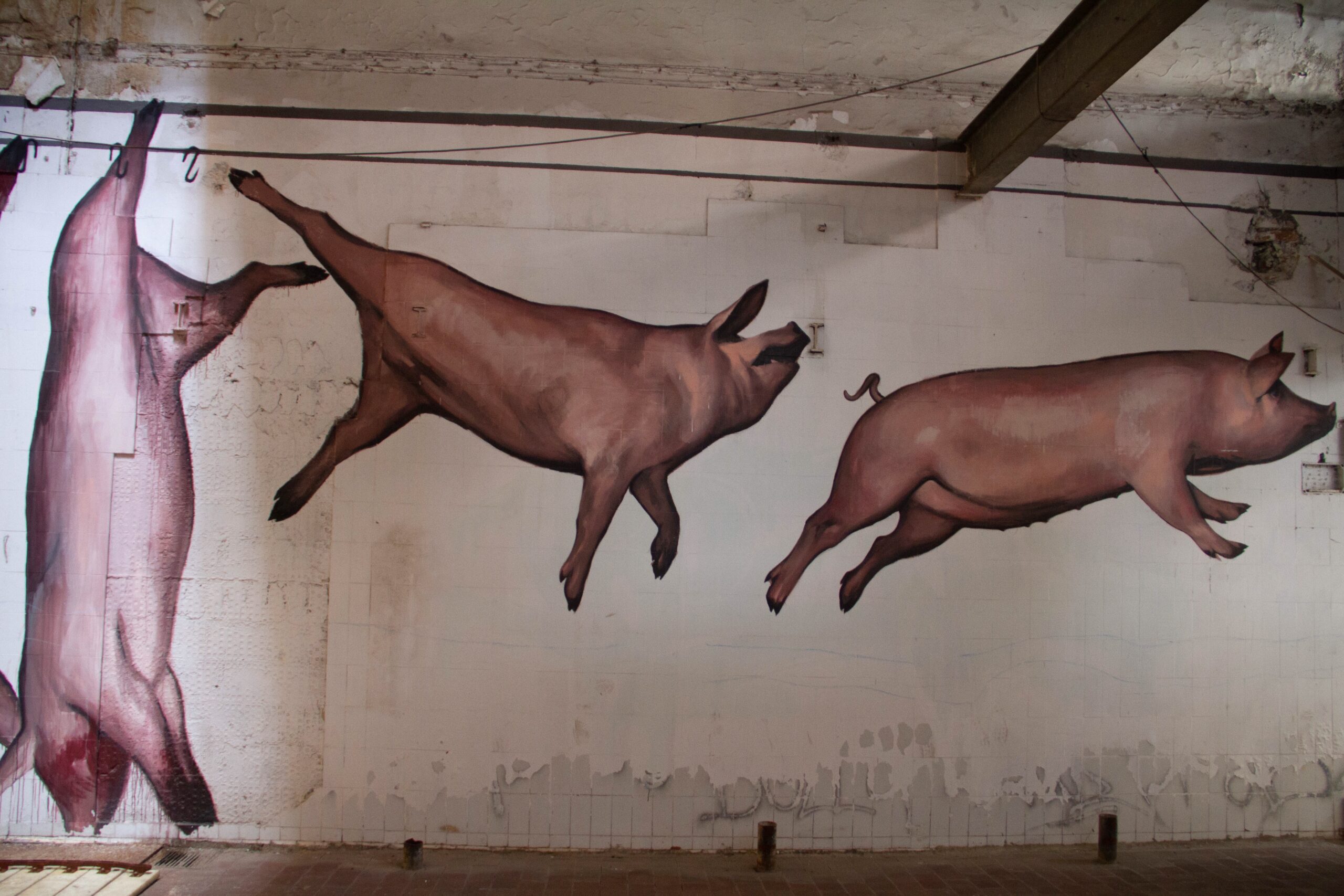 MAAM: Museo dell'Altro e dell'Altrove, Metropoliz - Mestizio City