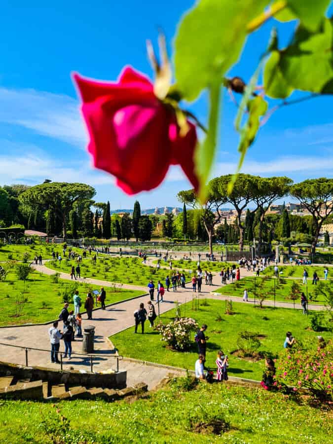Rome's rose garden