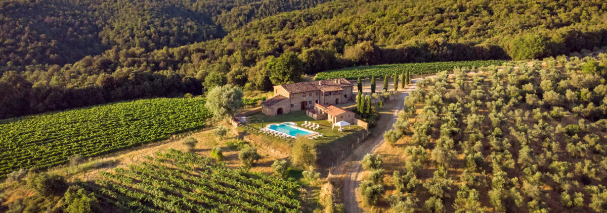 mansalto villas & wines tuscany