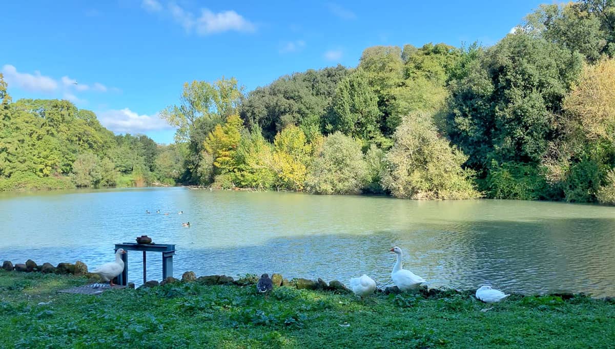 the-lake-of-the-belvedere-villa-pamphilj-rome