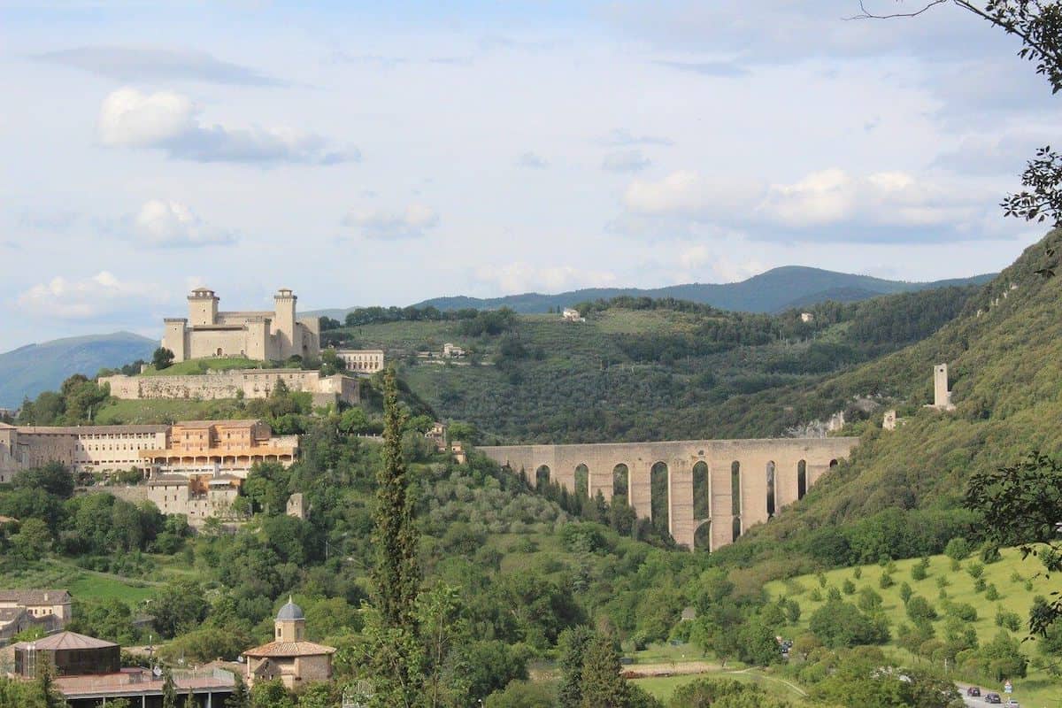 The Olive Groves of the Slopes between Assisi and Spoleto (Umbria)