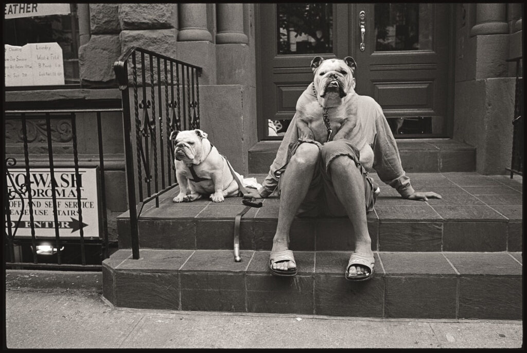 Palazzo Bonaparte hosts the late Elliot Erwitt and his legacy of witty photography
