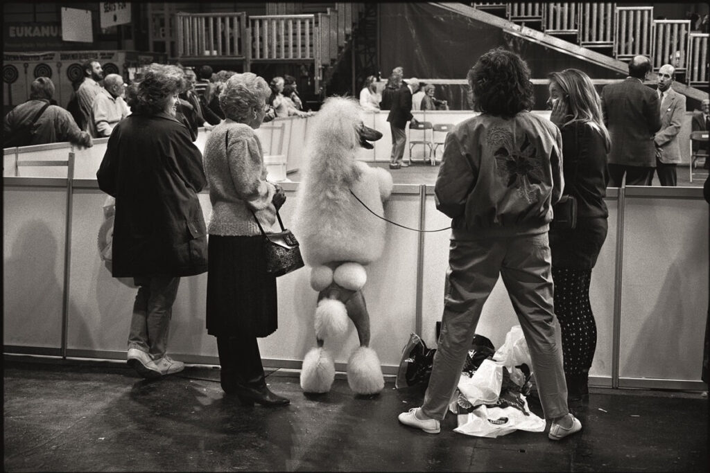 La fotografia di Elliot Erwitt a Palazzo Bonaparte a Roma.