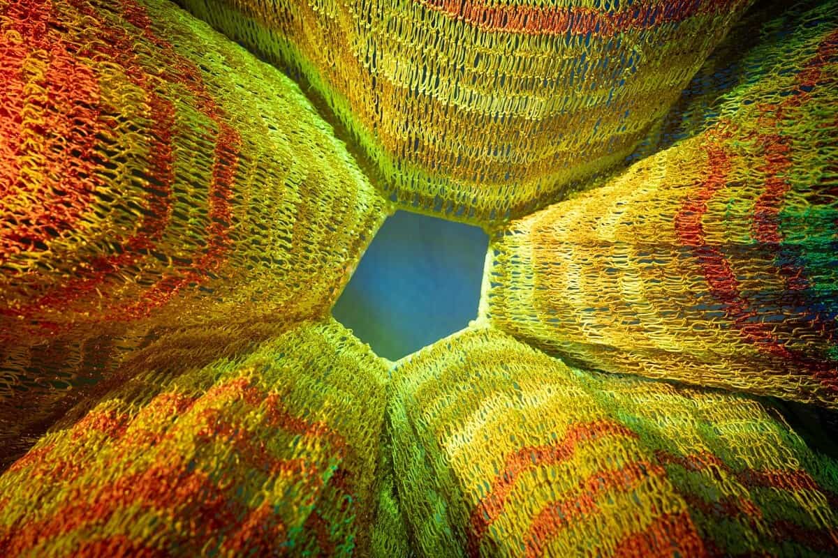 Chiostro del Bramante presents: CRAZY - Madness in Contemporary Art