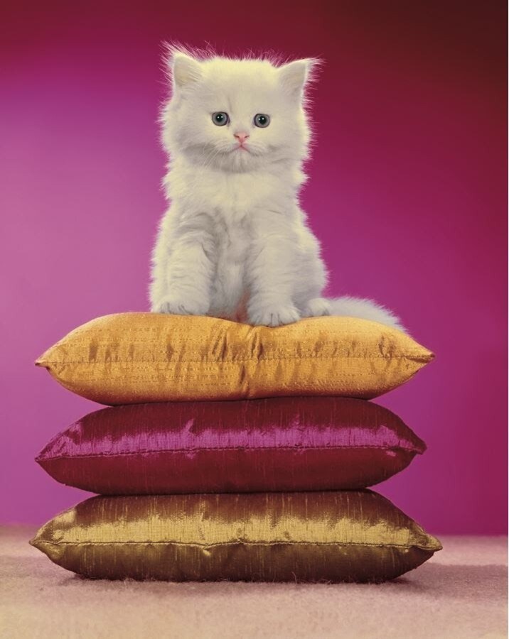 Chromotherapia. La fotografia a colori che rende felici