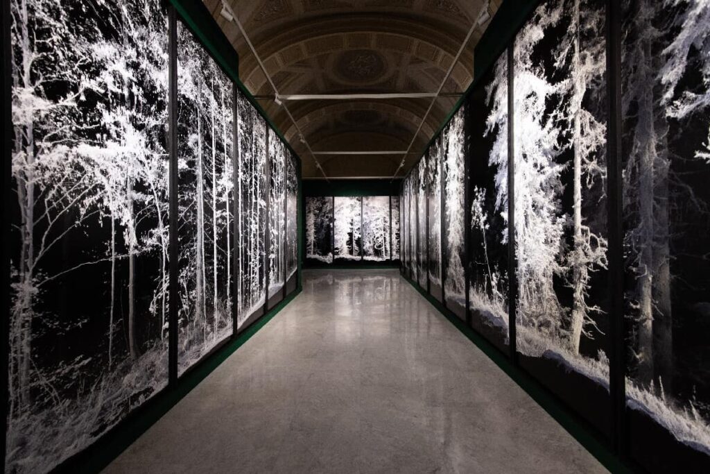 Quayola re-coding palazzo cipolla roma