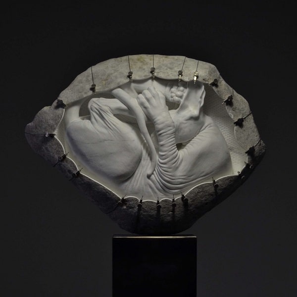 JAGO. La mostra evento a Palazzo Bonaparte a Roma