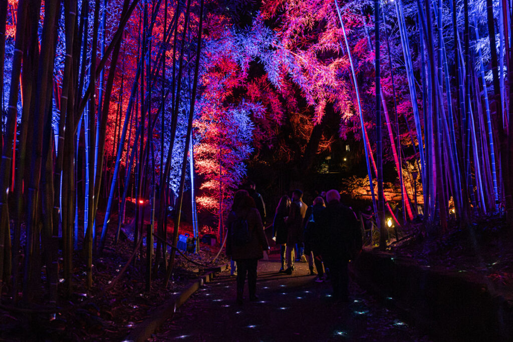 trame-di-luce-orto-botanico-2024