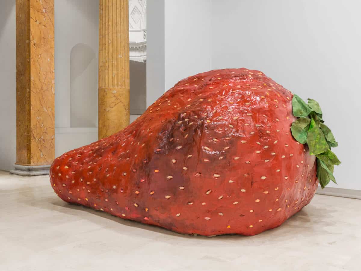 captain strawberry valerio nicolai quadriennale roma (1)