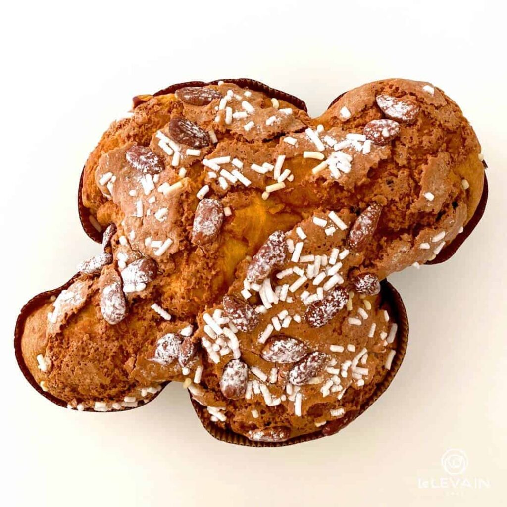 colomba le levain