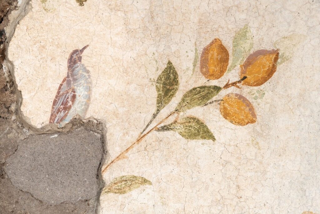 After almost 50 years of restoration efforts, the Domus Tiberiana, the imperial palace built on the Palatine Hill in Rome, opens to visitors.