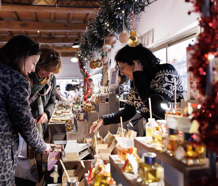 ficus massimo christmas edition