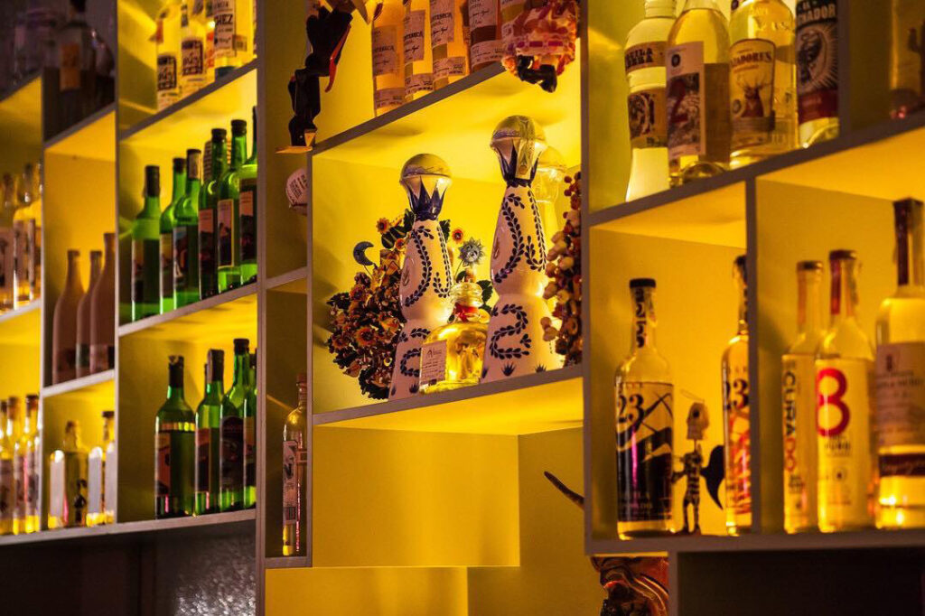 la-punta-expedio-de-agave-in-rome