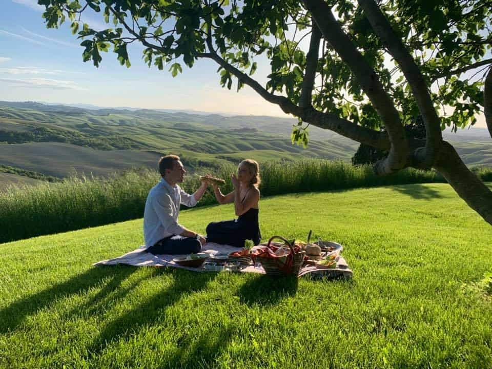 the lazy olive - podere finerri Asciano Tuscany