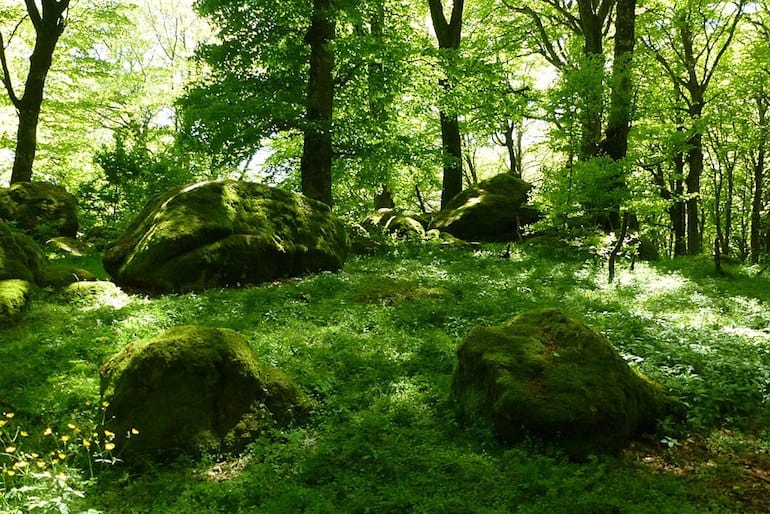 Hiking Near Rome: A Short Guide for Mountain Lovers