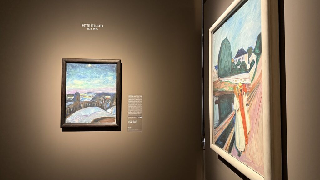 notte stellata munch