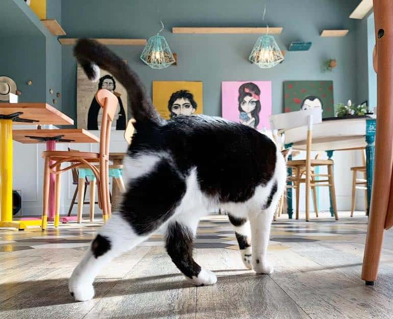 The best restaurants in Ostiense, Rome