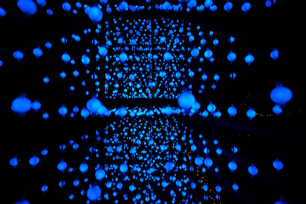 trame di luce botanical garden rome