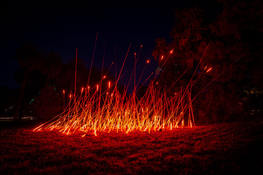 trame di luce botanical garden rome